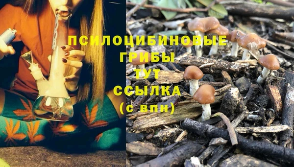 герыч Покачи