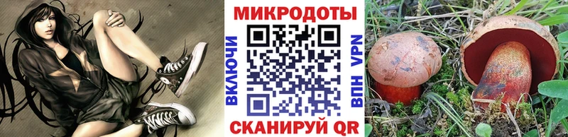 блэк спрут tor  Заинск  Галлюциногенные грибы MAGIC MUSHROOMS 