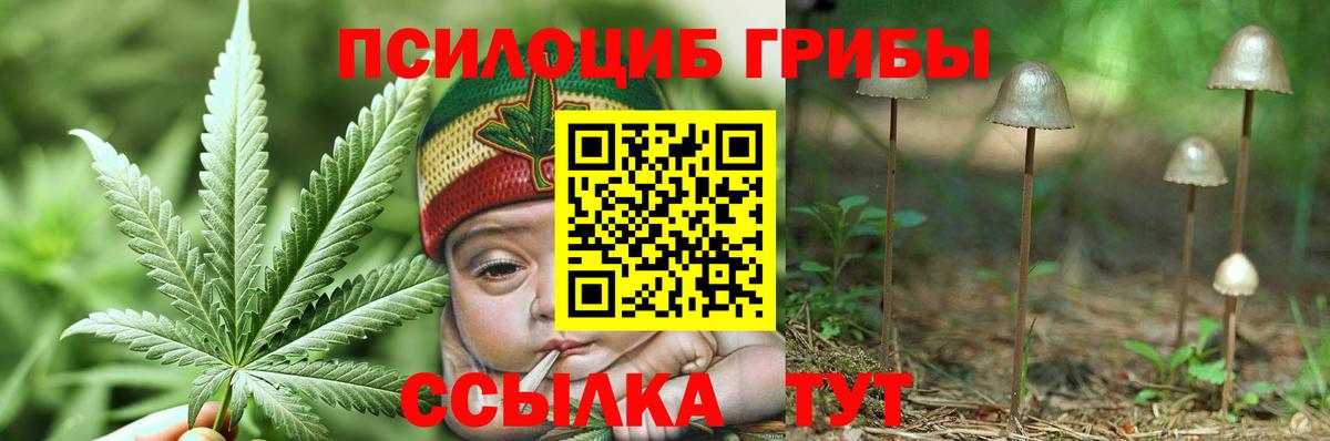 Псилоцибиновые грибы MAGIC MUSHROOMS Заинск