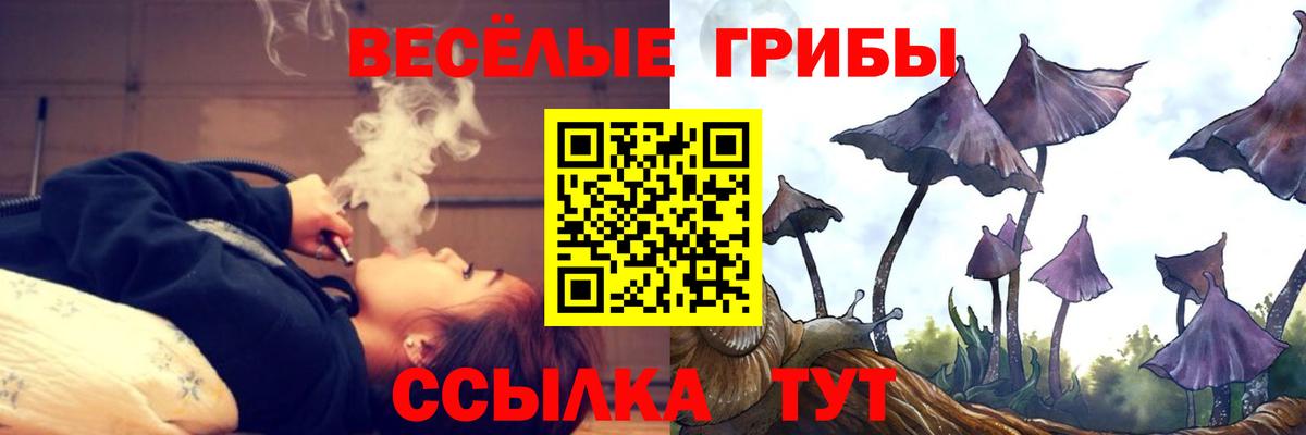 Псилоцибиновые грибы Cubensis  Вход с VPN  Заинск  Псилоцибиновые грибы GOLDEN TEACHER 