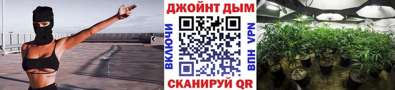 цена   Заинск  MEGA зеркало  Шишки марихуана индика 